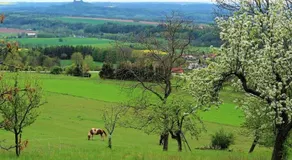 Ubytování Na Sýpce - Image 3