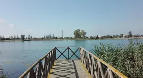 Deltebre Casa Mari - Image 2