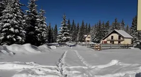 Jahorina Snowvalley - Image 4