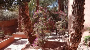 Dar Nekhla La Maison Des Palmiers - Image 4