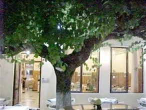 Hotel New Olympia - Image 2