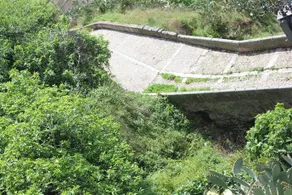 Sumaiya el Palacio - Image 3