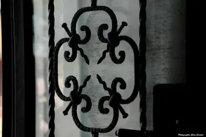 Picchio Della Tinaia - Image 2