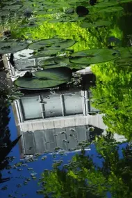 Egrove Park - Image 4