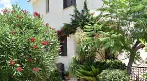 Villamia - Image 5