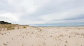 Second Winds - Image 5