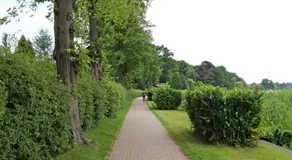 Ferienwohnung Rheinsberg SEE 9181 - Image 5