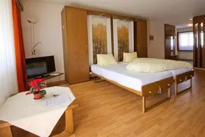 Casa Viva Bad Ragaz - Image 4