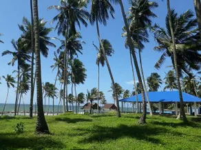 Blue And Green Resort - Image 3