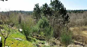 4 Person Holiday Home in Silkeborg - Image 4