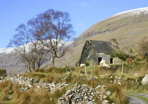 The Stone Cottage - Image 5
