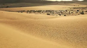 Casa Mar y Dunas - Image 3