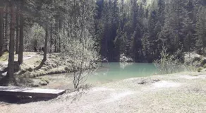 Apartma Pika - Image 2