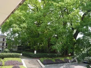 Emeishan Hotel - Image 3