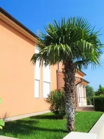 Apartment Luxus Sol - Image 2