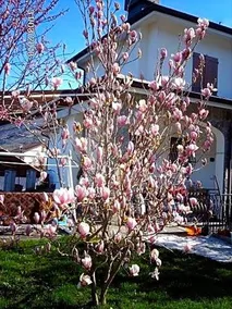 B&B Le Rondini - Image 4