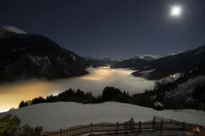 Brandebengut - Image 5