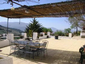 La Insula - Image 3