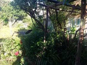 Un Jardin Sur La Dune - Image 5