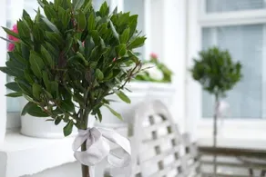 Saltwater Bed And Breakfast - Image 3
