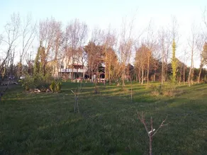 La Comtadine - Image 5