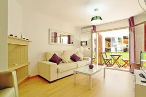 Lavander - Image 3