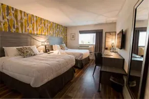 THE LOOK HOTEL, RED HOOK - Image 5