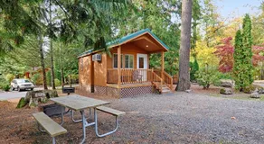 Mount Hood Village Deluxe Cabin 5 - Image 5