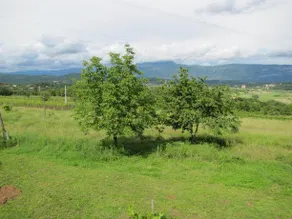 Apartments San Roko - Image 3