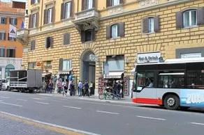 Piccolo Fiore - Image 3