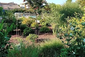 Le Jaccaranda - Image 4
