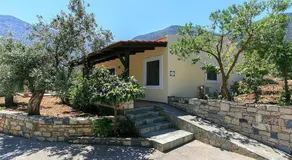 Dimitris - Image 2