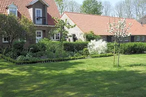 Het Leeuwterveld - Image 4