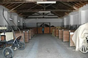 Patio da Avo Faustina - Image 4