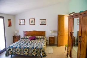B&B Cactus - Image 4