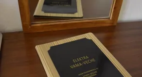 Elektra Vama Veche - Image 3