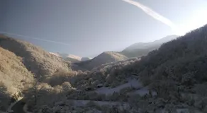 Stara Planina Stankovic - Image 2