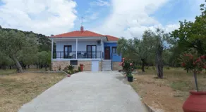 Lonely House - Image 2
