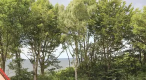 Apartament Nordic - Image 4