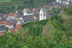Schwarzer Adler - Image 5