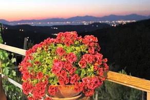 B & B Il Campanile - Image 4