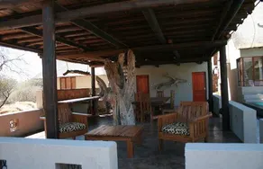 Thulani - Image 4
