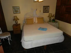 The Orchid Tree Bed & Breakfast - Image 4