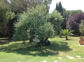 Villa Luisa - Image 5