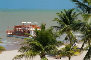 Tropical Tambau - Image 2