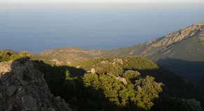 Appartamento fronte mare Perdepera - Image 4
