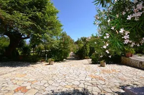 Villa Katia - Image 4