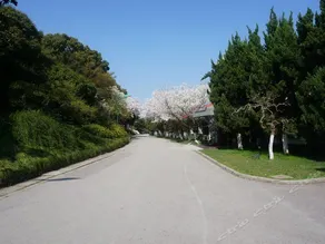 Islet Healthy Resort - Image 4