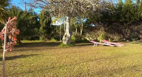 Fig Tree Cottage - Image 4