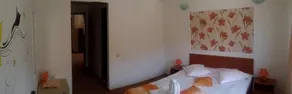 Steluța - Image 3
